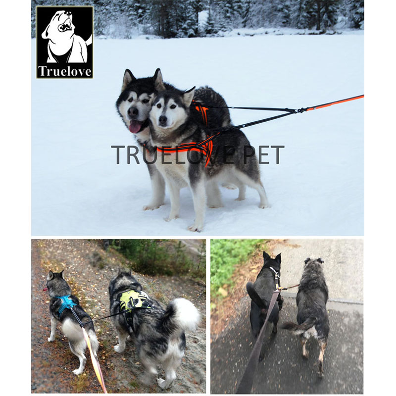 Truelove Naylon Çift Köpek Tas - Running Gear Dog incelemesi ve fiyatı