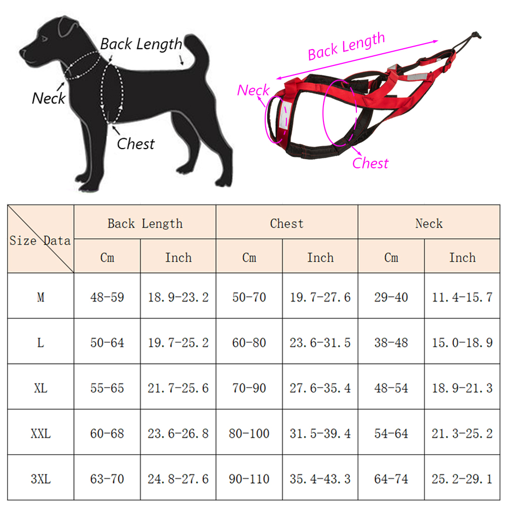Yüksek Kaliteli Büyük Köpek Kı - Running Gear Dog incelemesi ve fiyatı