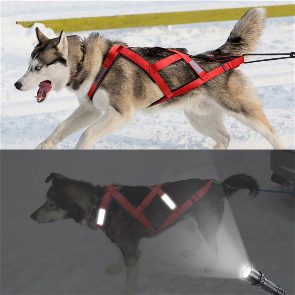 Yüksek Kaliteli Büyük Köpek Kı - Running Gear Dog incelemesi ve fiyatı