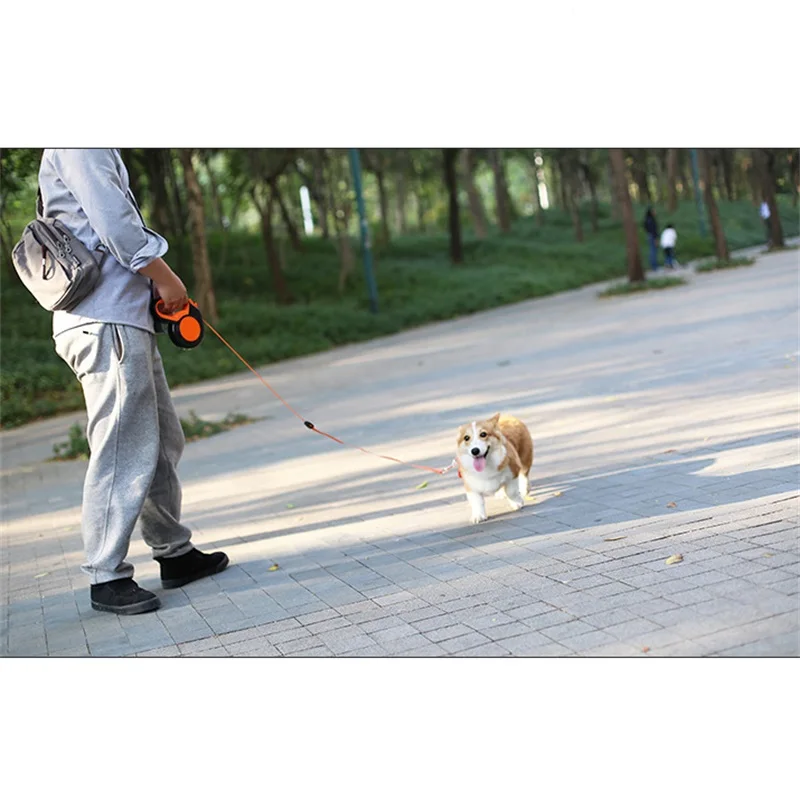 3M/5M/8M geri çekilebilir köpe - Running Gear Dog incelemesi ve fiyatı
